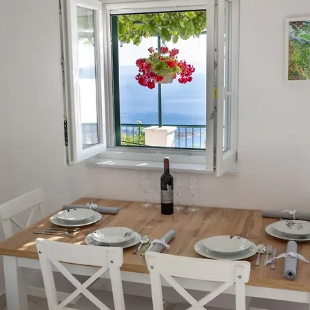 Pelargonia Makarska